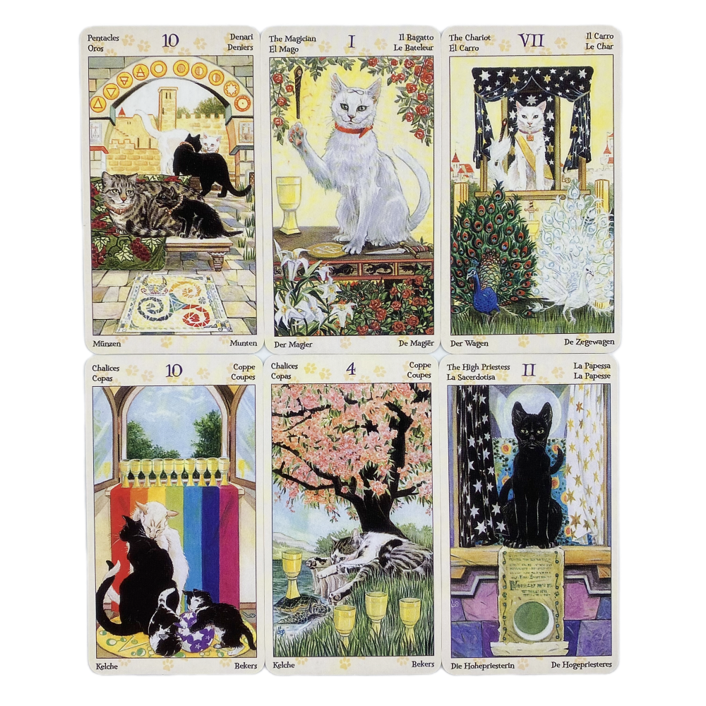78 Cards Deck Tarot Of Pagan C – Board Game Oracle Bewertung und Preis