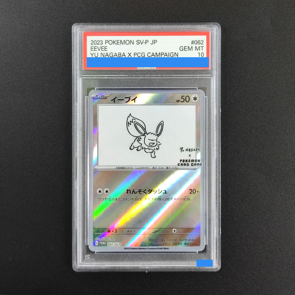 DIY Pokemon Rating card JAPANE – Board Game Japan Bewertung und Preis