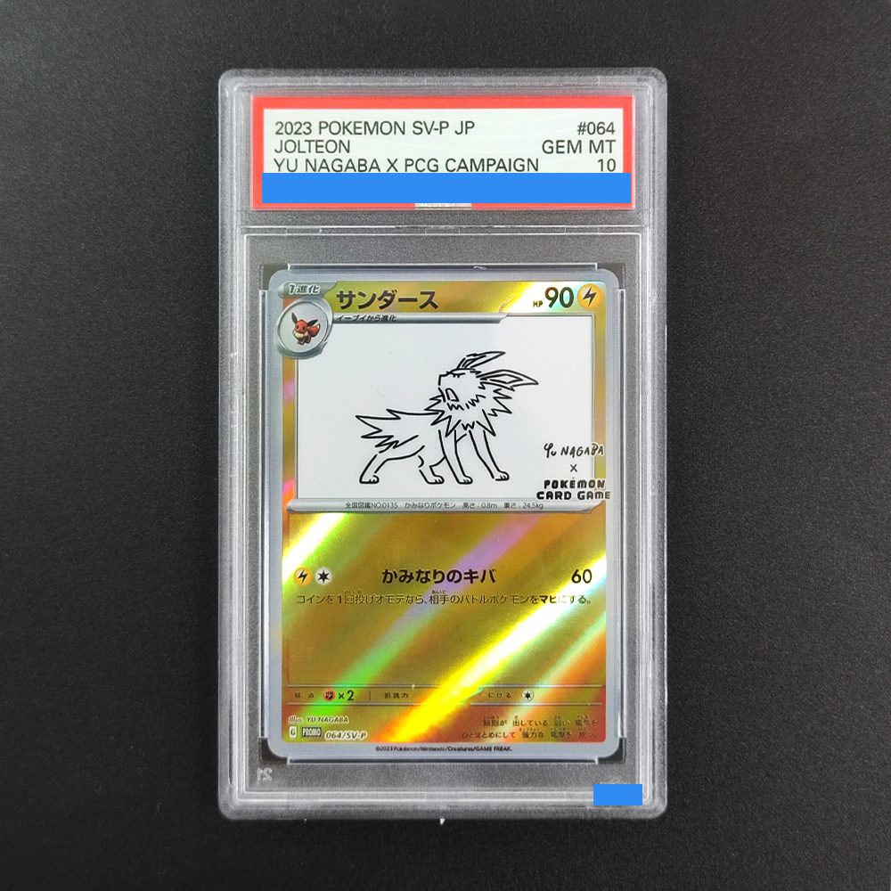 DIY Pokemon Rating card JAPANE – Board Game Japan Bewertung und Preis